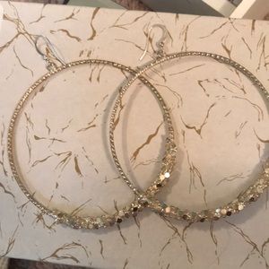 Silver Hoops